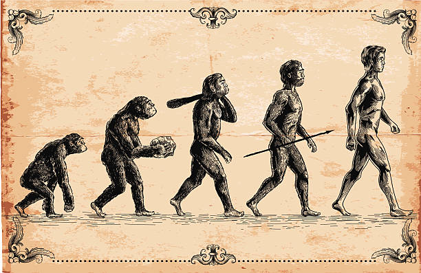 Human origins in pre-history